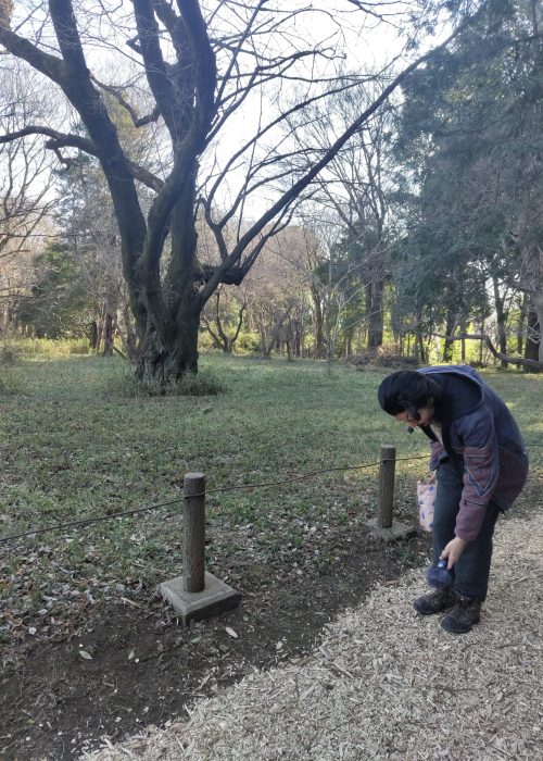 05e41886-7df6-4fe1-a027-1f7f414b0248