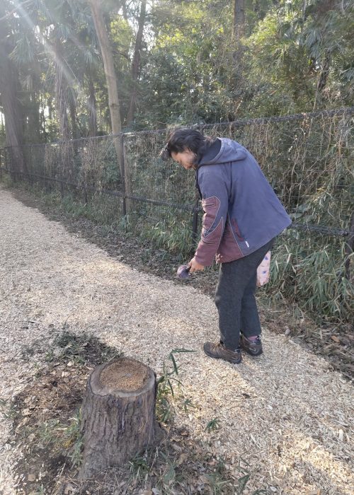 46717b37-6de2-4bc3-8053-a785c6a0cee8