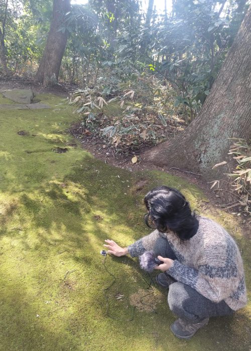 8891e277-5bd1-4de4-9168-d9869ab7b147