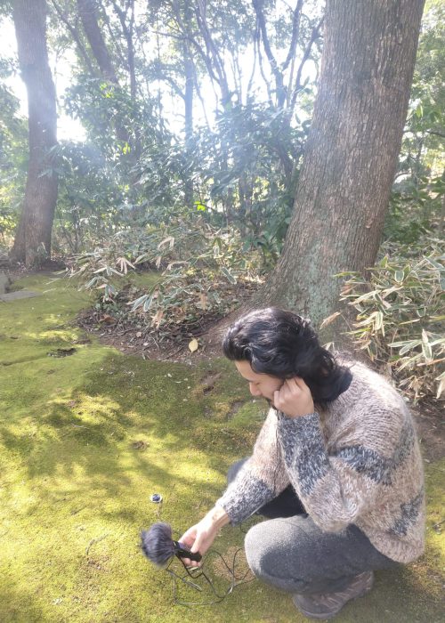 89c3bc8d-e371-4039-8944-1310bb62e394