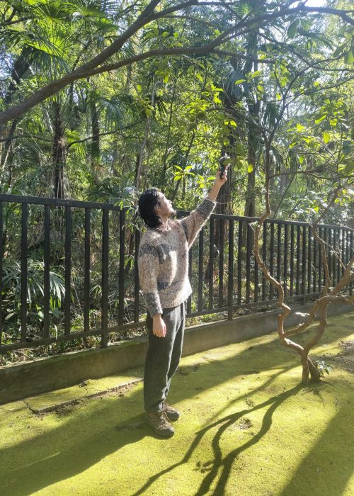 95d17646-e1c2-4f41-8e13-34e1677f003a