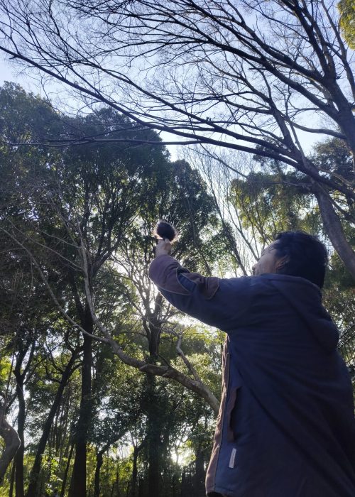 a0ca9a94-0c48-4773-80df-306d215913cc