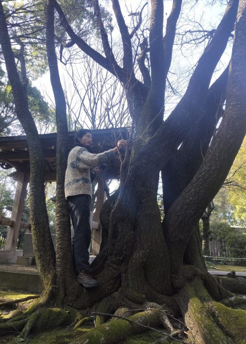 a0d2496a-bc51-4296-b021-d6bb951ef7b2