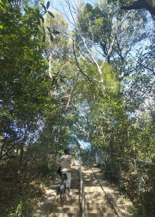 bec7d338-03d6-4625-897b-be15a870f4de