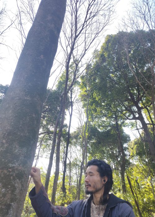 cba0cd51-d6df-404c-b879-13fee97b0e18