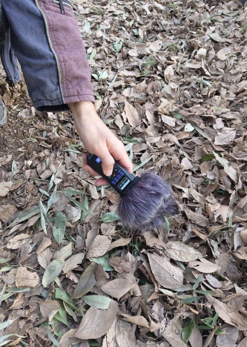 e4d6f62c-500b-4815-9544-11f57ab449cd