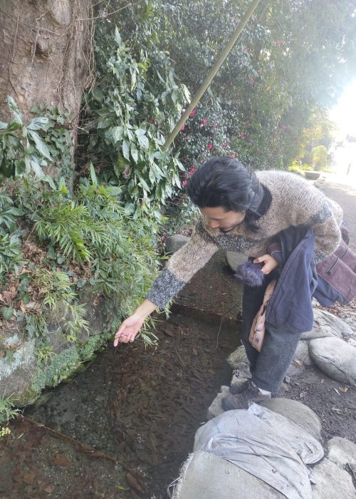 e7ff0afe-b1fd-4f8d-958b-75bab64d63a4