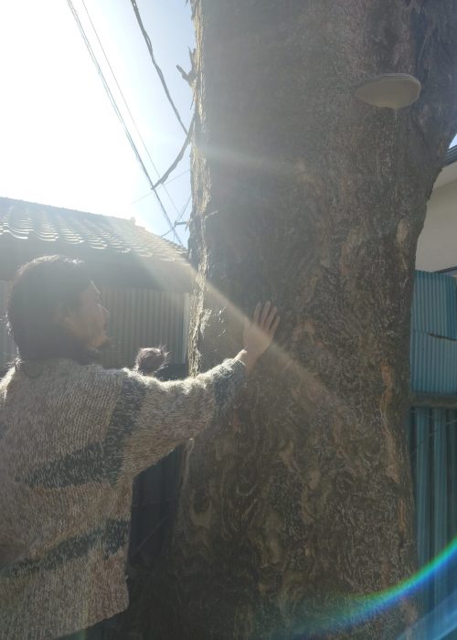 f47f9410-e6fb-4669-9574-a89e5b3b1c15